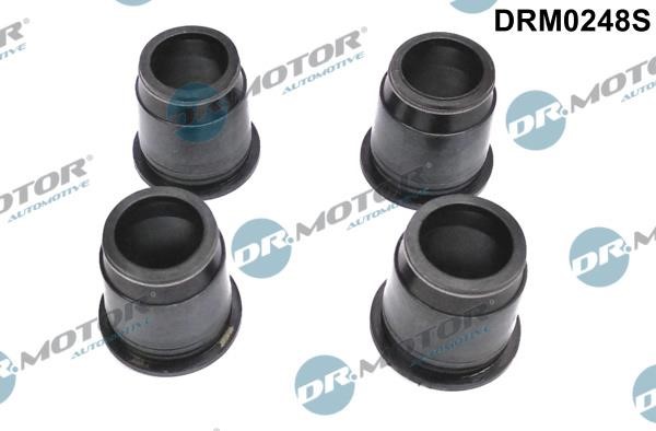 Dr.Motor DRM0248S Seal, injector holder DRM0248S