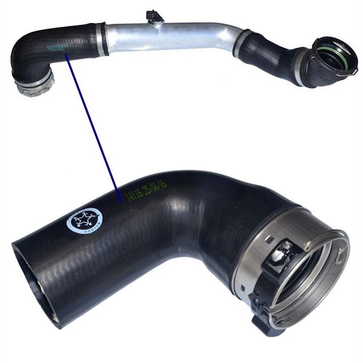 Buy Hortum 14116 at a low price in United Arab Emirates!