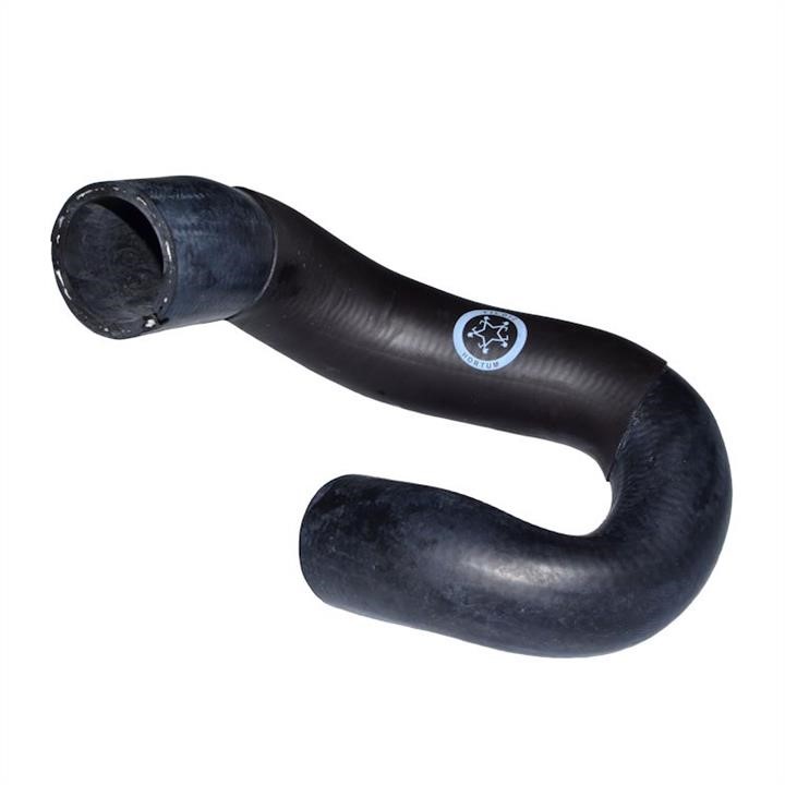 133306 Hortum Radiator pipe