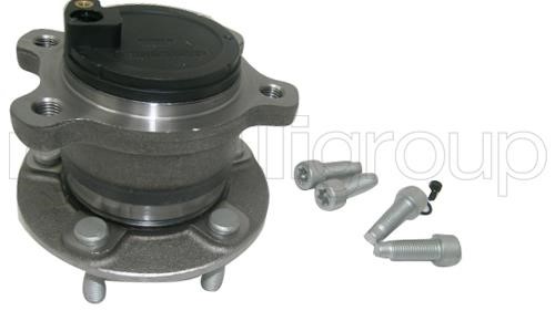 Cifam 619-2367 Wheel bearing kit 6192367