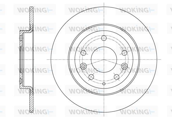 Woking D6161500 Rear brake disc, non-ventilated D6161500
