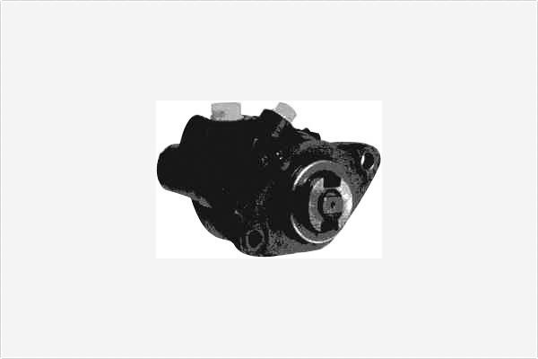 Depa PA605 Hydraulic Pump, steering system PA605