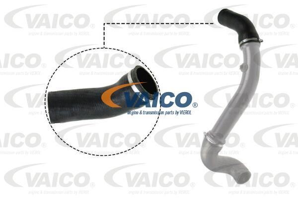 Vaico V302717 Charger Air Hose V302717