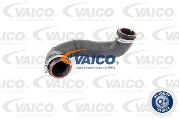 Vaico V104381 Charger Air Hose V104381