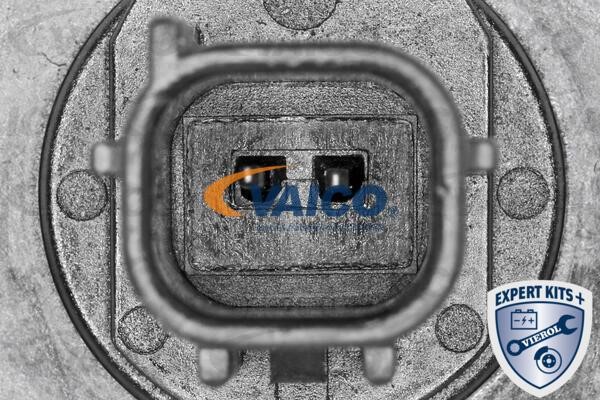 Buy Vaico V700391 at a low price in United Arab Emirates!