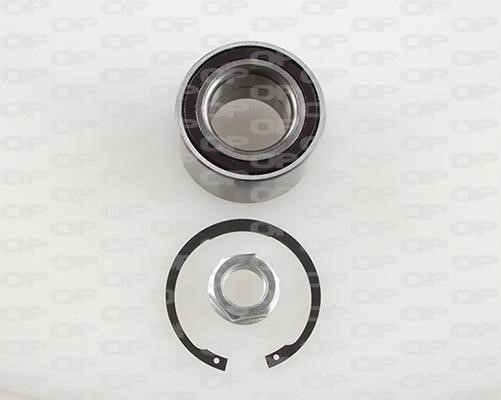 Open parts HBK5183.01 Wheel bearing kit HBK518301