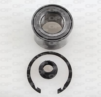 Open parts HBK5250.01 Wheel bearing kit HBK525001