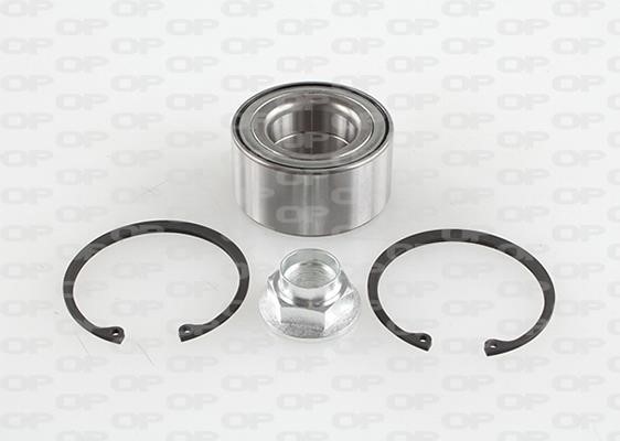 Open parts HBK5223.01 Wheel bearing kit HBK522301
