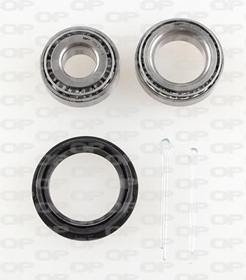 Open parts HBK5197.00 Wheel bearing kit HBK519700