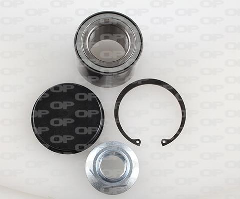 Open parts HBK5071.01 Wheel bearing kit HBK507101