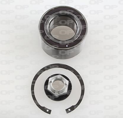 Open parts HBK5126.01 Wheel bearing kit HBK512601