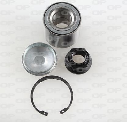 Open parts HBK5180.01 Wheel bearing kit HBK518001