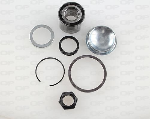 Open parts HBK5009.01 Wheel bearing kit HBK500901
