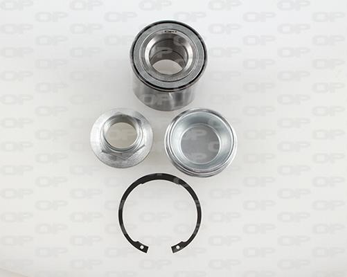 Open parts HBK5083.01 Wheel bearing kit HBK508301