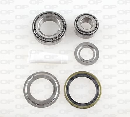Open parts HBK5228.00 Wheel bearing kit HBK522800