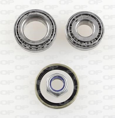 Open parts HBK5252.00 Wheel bearing kit HBK525200