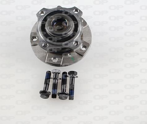 Open parts HBK5219.03 Wheel bearing kit HBK521903