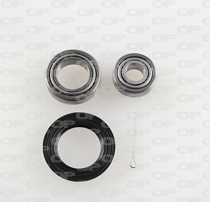Open parts HBK5253.00 Wheel bearing kit HBK525300