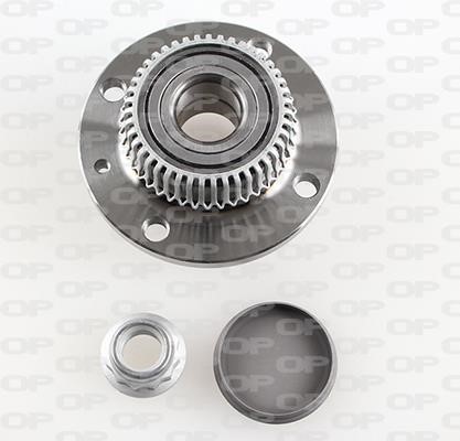 Open parts HBK5177.02 Wheel bearing kit HBK517702
