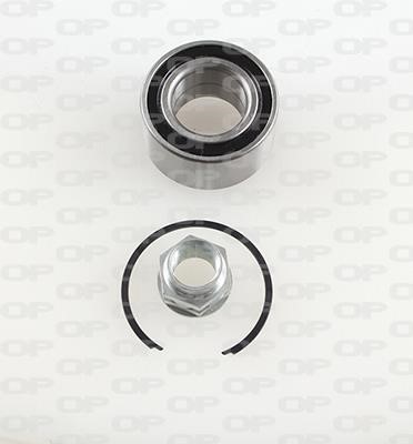 Open parts HBK5120.01 Wheel bearing kit HBK512001