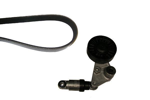 Hepu 20-1381 Drive belt kit 201381