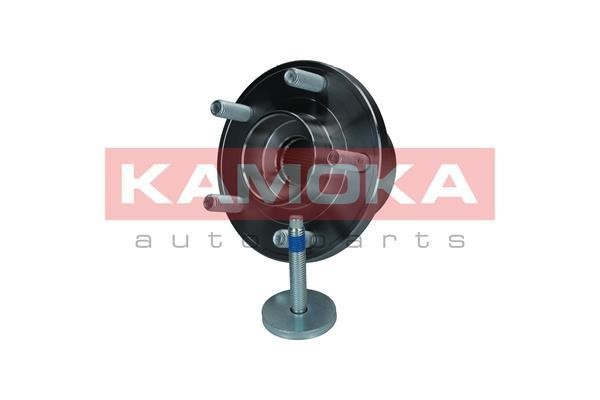 Wheel bearing kit Kamoka 5500143