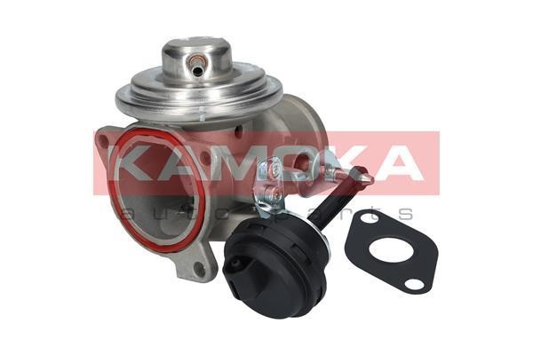 EGR Valve Kamoka 19024