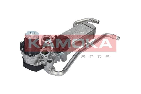 EGR Module Kamoka 19072