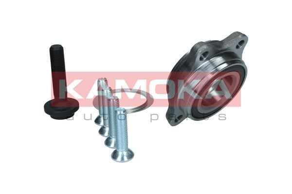 Front Wheel Bearing Kit Kamoka 5500176