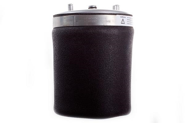 Denckermann DSA110G Air Spring, suspension DSA110G DSA110G Denckermann Air Spring, suspension