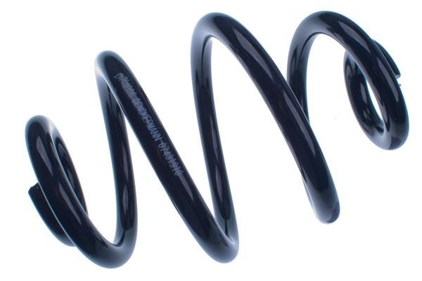 D700086 Denckermann Coil spring