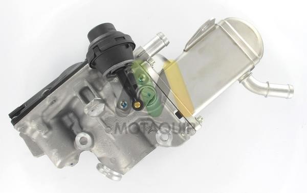 Motorquip LVER198 EGR Valve LVER198