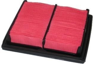 We Parts 16172 Air filter 16172