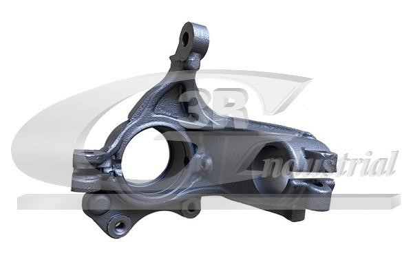 Wheel stub axle DS: 15213 3RG Knuckle swivel