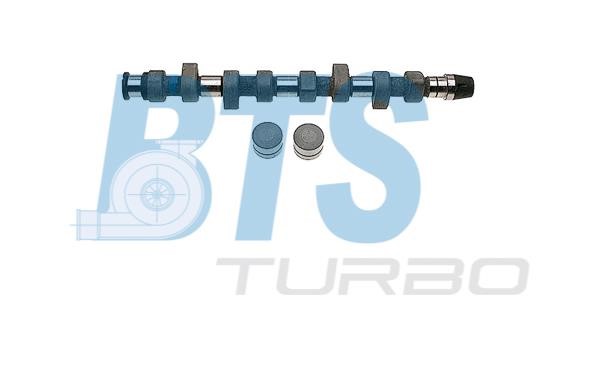 BTS Turbo CP60213 Camshaft set CP60213
