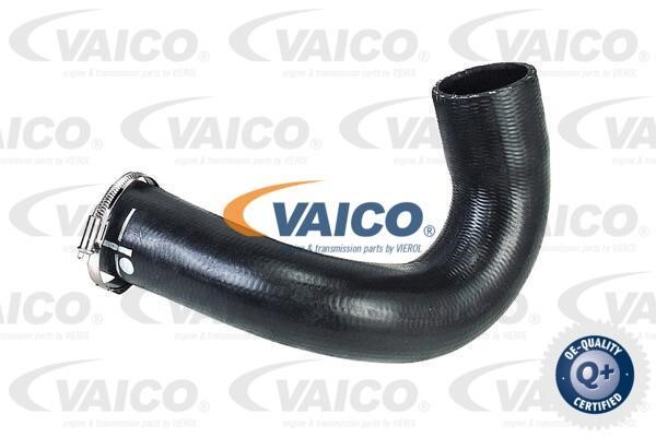 Vaico V420571 Charger Air Hose V420571