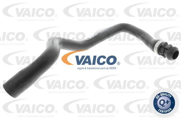 V303148 Vaico Hose assy water outlet