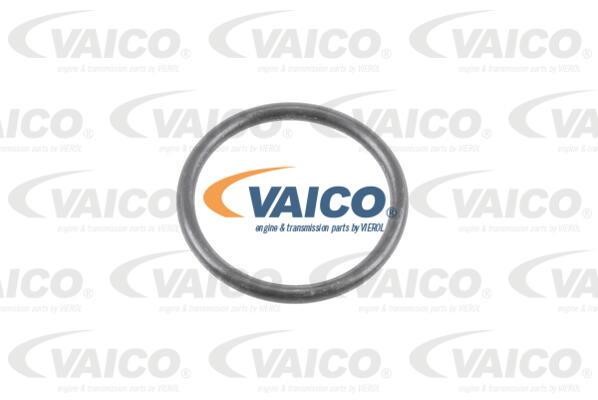 Automatic transmission filter Vaico V630038