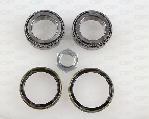 Open parts HBK5022.00 Wheel bearing kit HBK502200