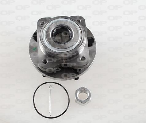 Open parts HBK5198.03 Wheel bearing kit HBK519803