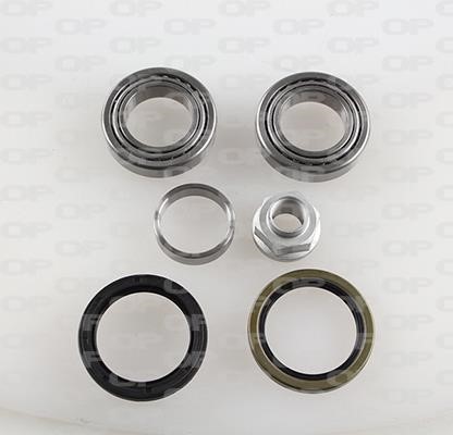 Open parts HBK5055.00 Wheel bearing kit HBK505500