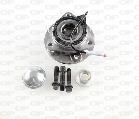 Open parts HBK5171.03 Wheel bearing kit HBK517103
