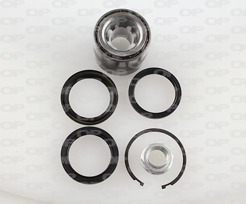 Open parts HBK5230.01 Wheel bearing kit HBK523001