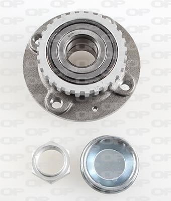 Open parts HBK5236.02 Wheel bearing kit HBK523602