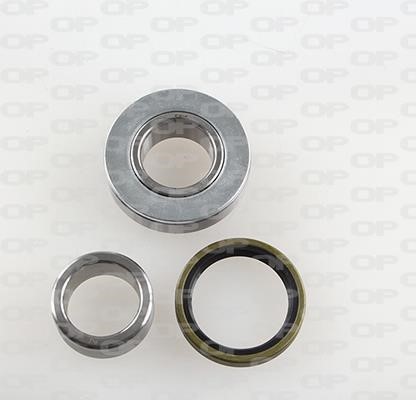 Open parts HBK5116.00 Wheel bearing kit HBK511600