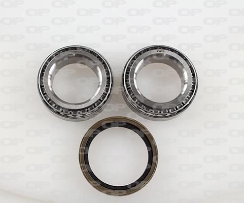 Open parts HBK5065.01 Wheel bearing kit HBK506501