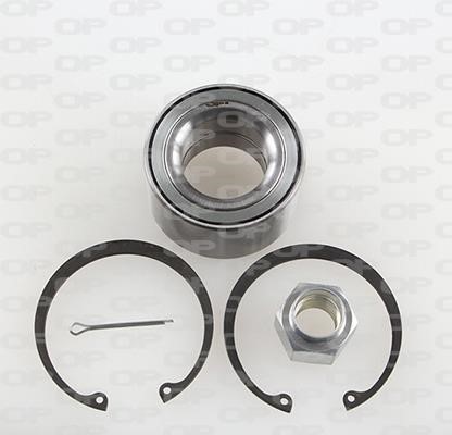 Open parts HBK5254.01 Wheel bearing kit HBK525401