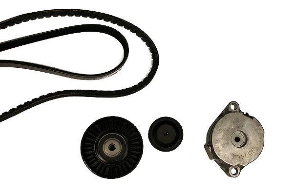 Hepu 20-1387 Drive belt kit 201387