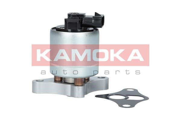 EGR Valve Kamoka 19002