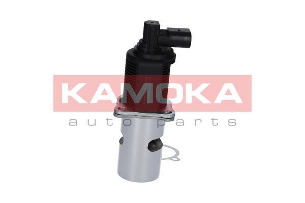 EGR Valve Kamoka 19015